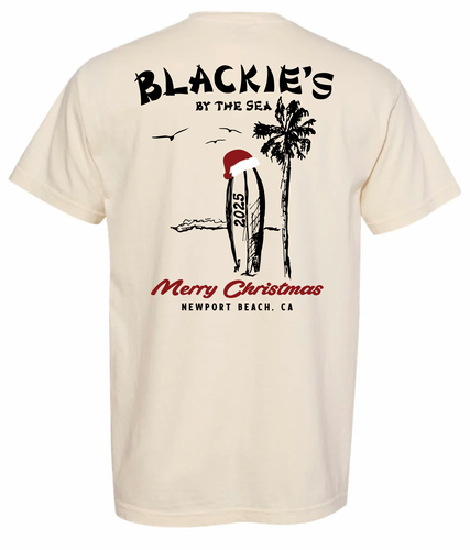 Christmas Shirt  2025