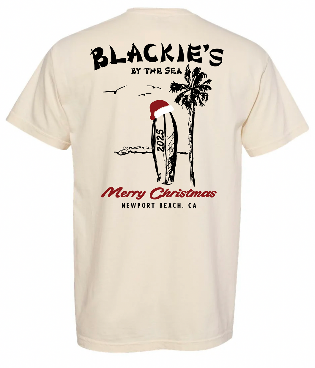 Christmas Shirt  2025